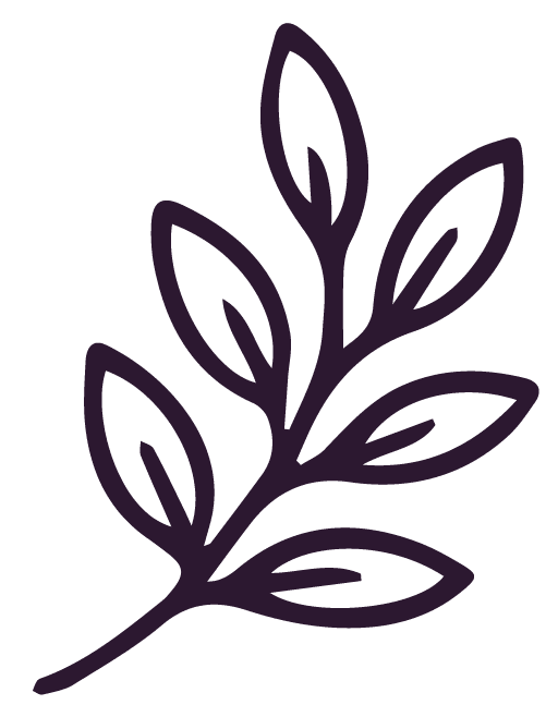 Vecteurs violet 02