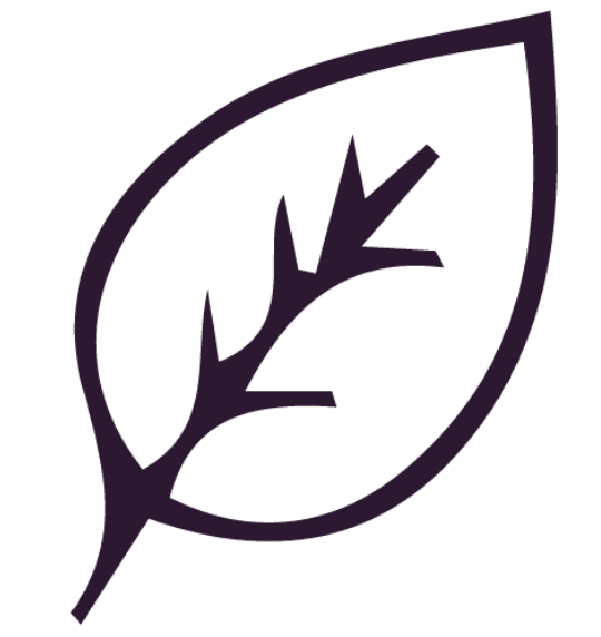 Vecteurs violet 04 crop