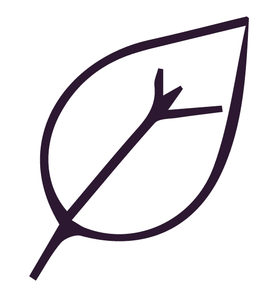 Vecteurs violet Plan de travail 1 1