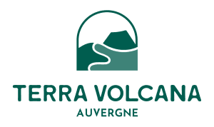 Logo vertical 4