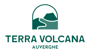 Logo vertical 4