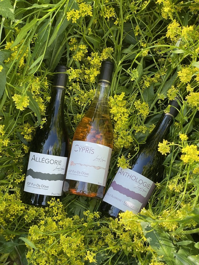 Photo Vigneron